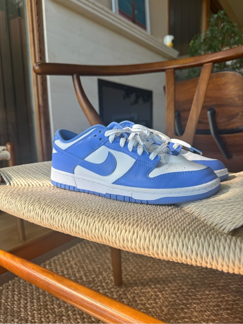 Nike Dunk Low Retro Shoes “Polar Blue”